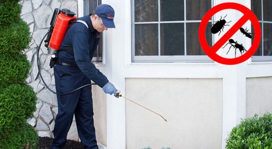 Haymana Akrep İlaçlama böcek ilaçlama ve haşere kontrolü — ilaclama-tr.com